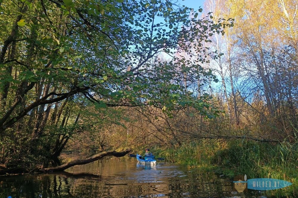 Осенние сплавы на байдарках