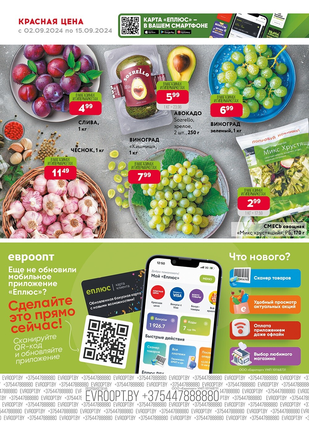 Акция "Красная цена" в сети магазинов "Евроопт" в сентябре 2024 года (с 2 по 15 сентября)