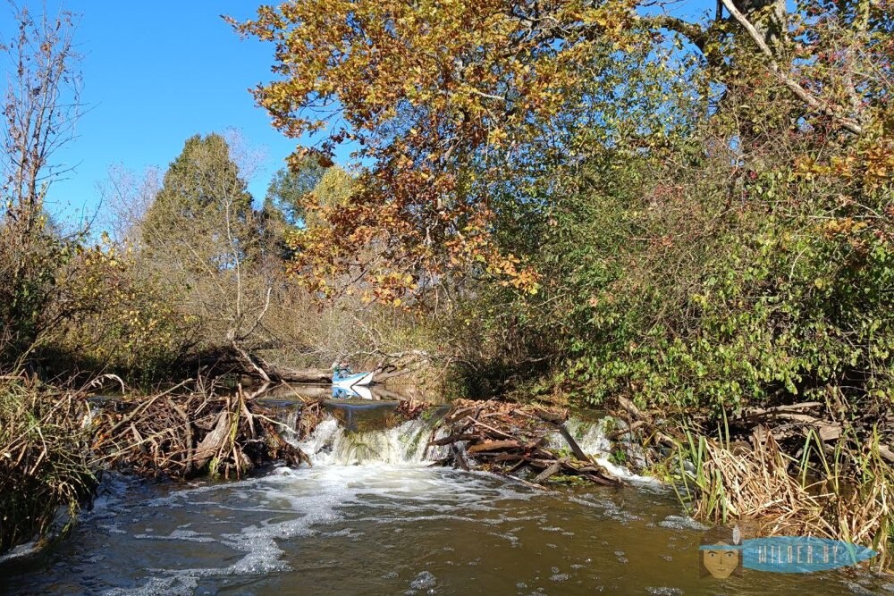 Сплавы на байдарках по реке Ислочь