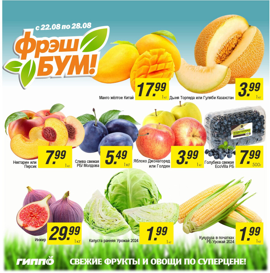 Акции и скидки в "Гиппо" в августе-сентябре 2024 года (с 22 августа по 4 сентября)