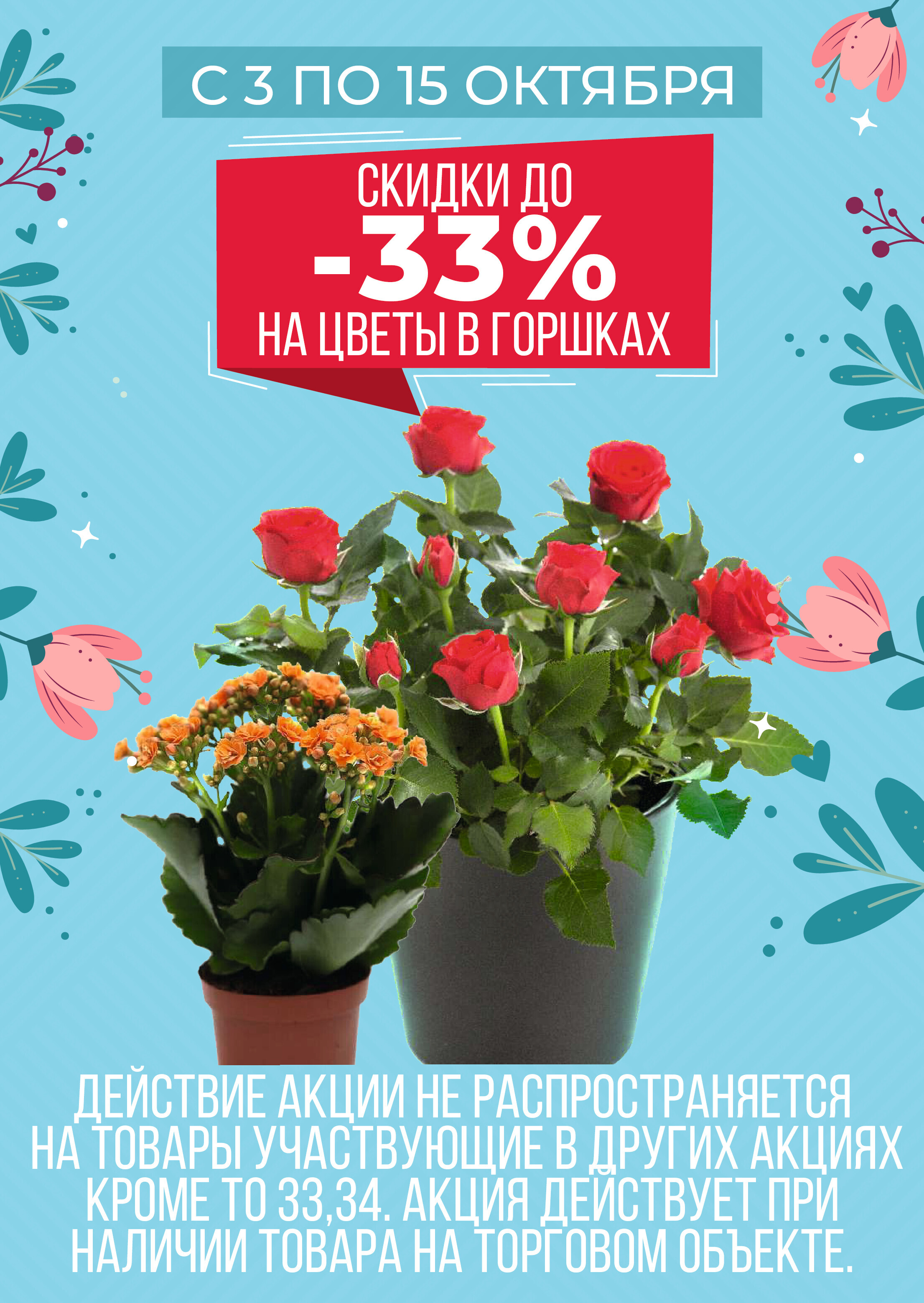 Акции и скидки в магазинах Green в октябре 2024 года (с 2 по 15 октября)