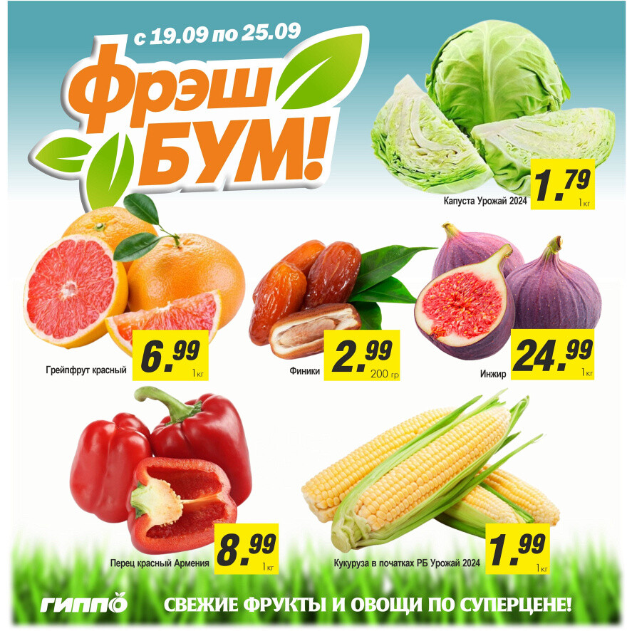 Акции и скидки в "Гиппо" в сентябре-октябре 2024 года (с 19 сентября по 2 октября)