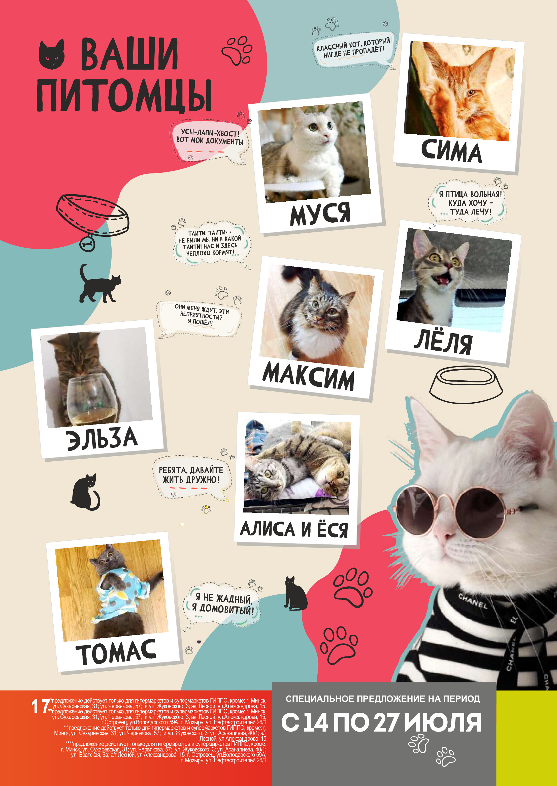 Акции и скидки в "Гиппо" в июле 2022 года (с 14 по 27 июля)