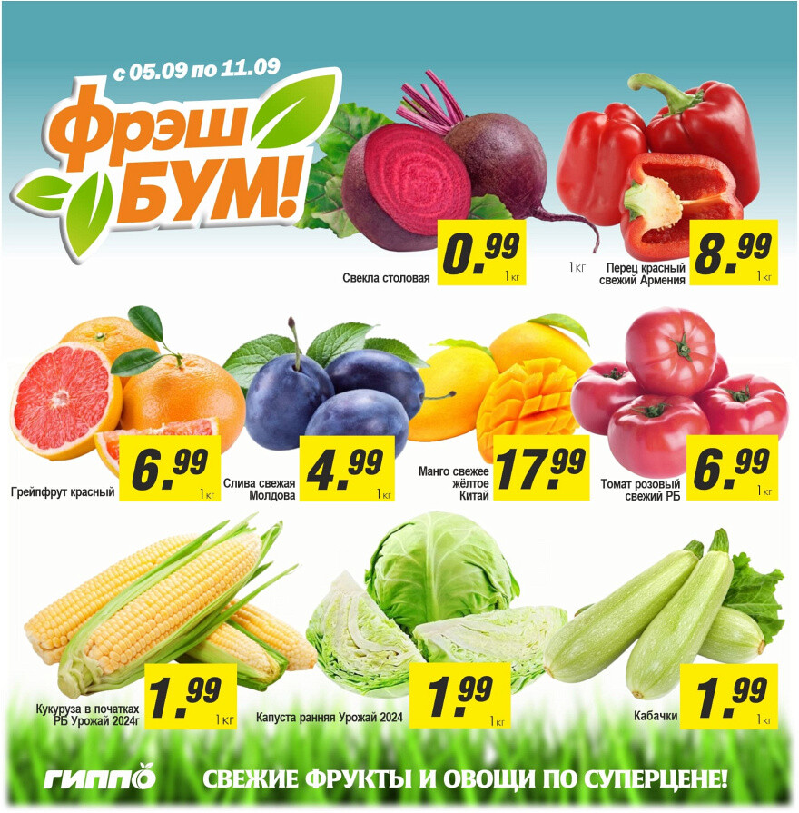 Акции и скидки в "Гиппо" в сентябре 2024 года (с 5 по 18 сентября)