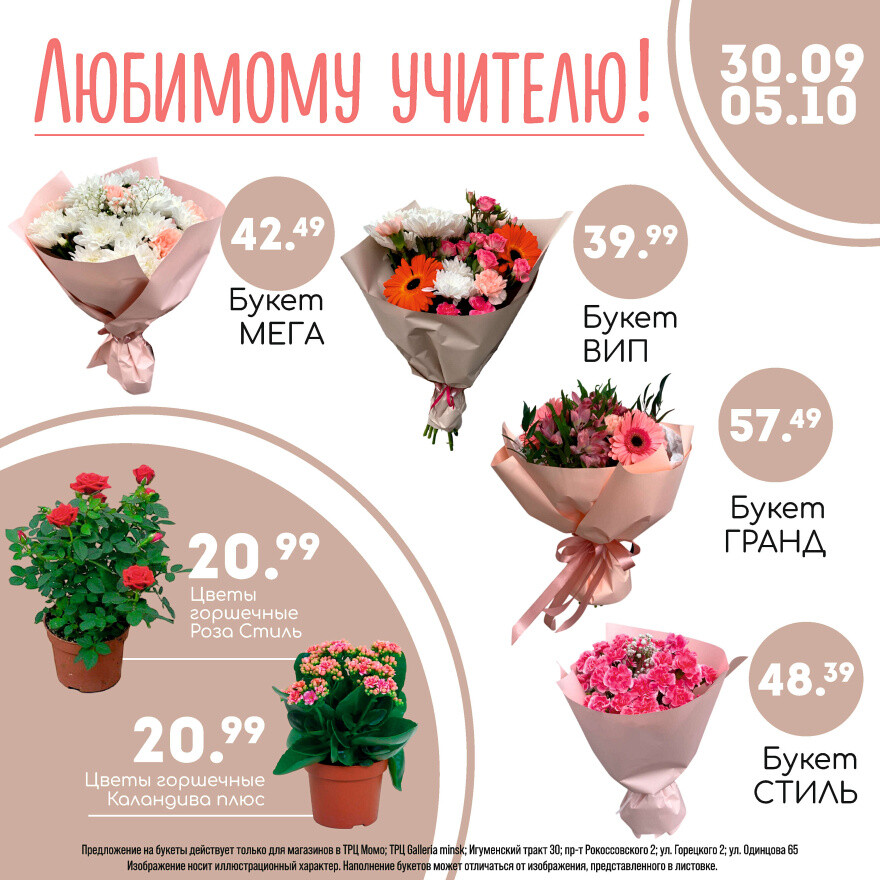 Акции и скидки в "Гиппо" в сентябре-октябре 2025 года (с 30 сентября по 27 октября)